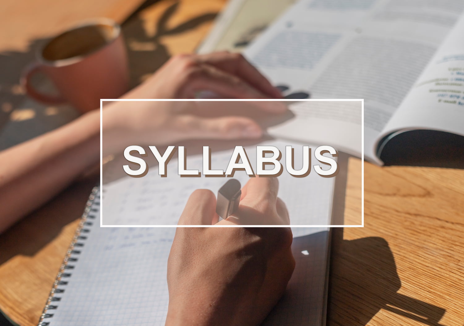 Imagem ilustrativo do Syllabus